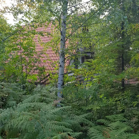 Eden Apartment