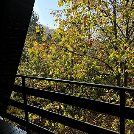 Eden * Rudnik