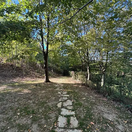 Eden * Rudnik Kačerski